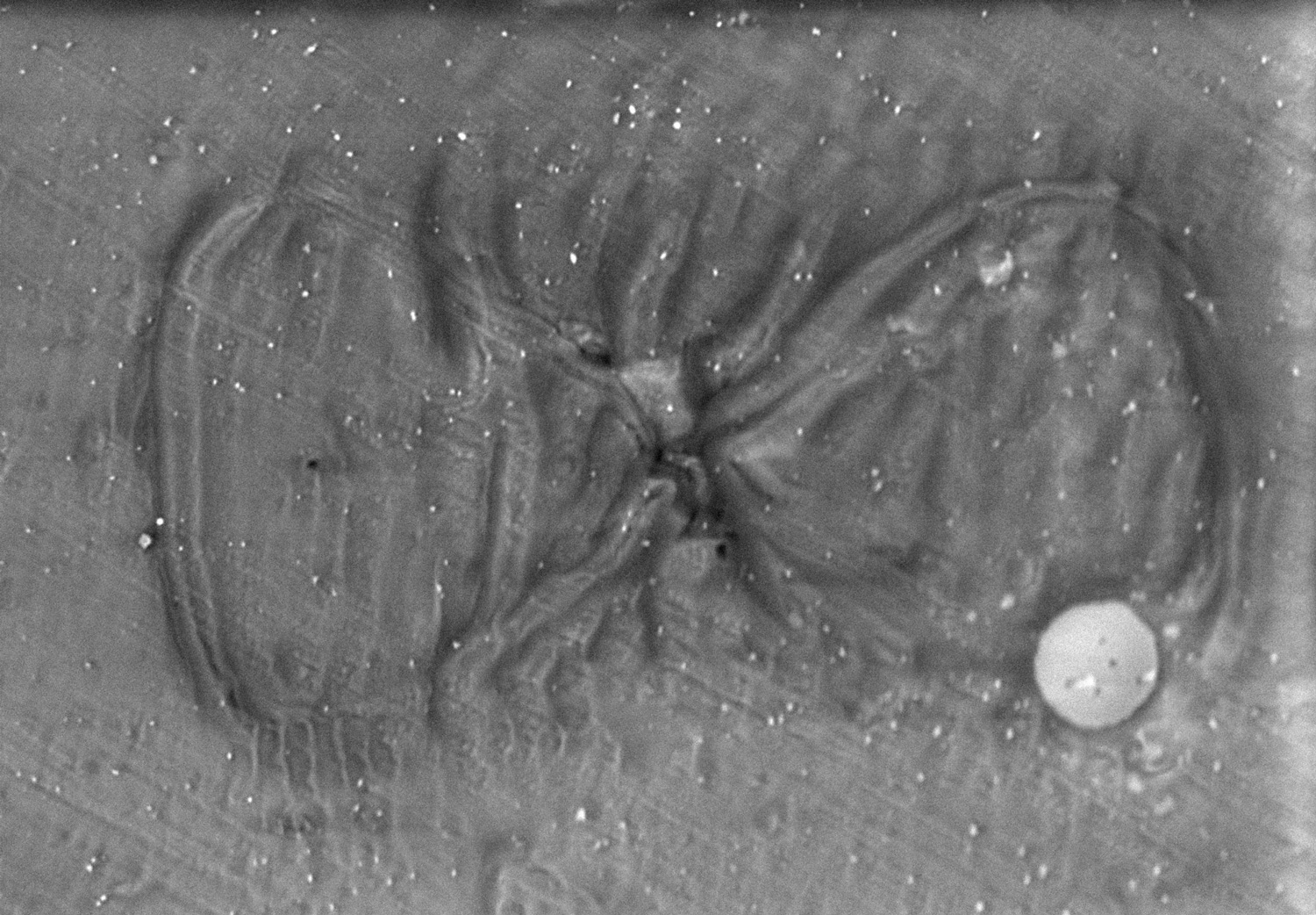 Before and After Eternity