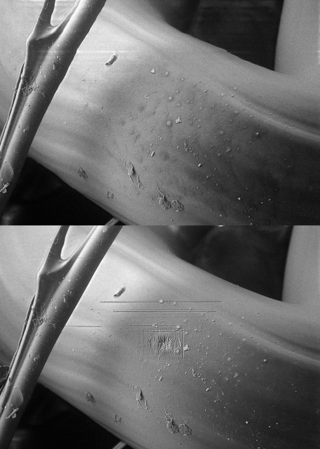 Before and After Eternity